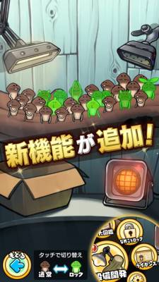 なめこ栽培キットDeluxe極 画像