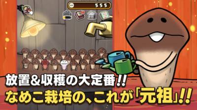 元祖 なめこ栽培キット 画像