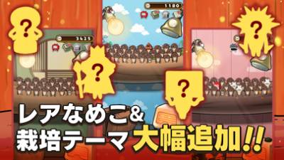 元祖 なめこ栽培キット 画像